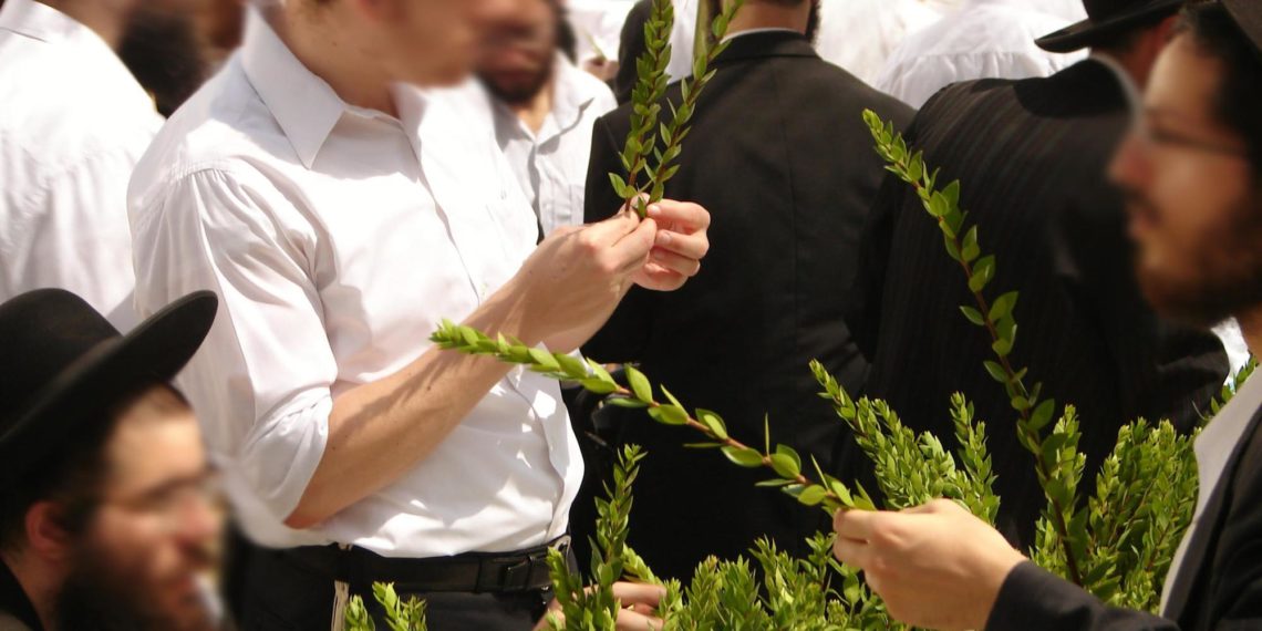 ארבעת המינים’ למען האברכים