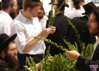 ארבעת המינים’ למען האברכים