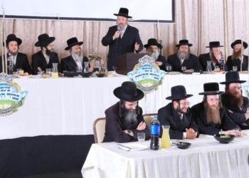 ח”י שנים לכתר השנונים