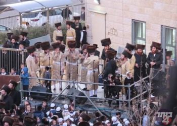 רקדו על שתי חתונות