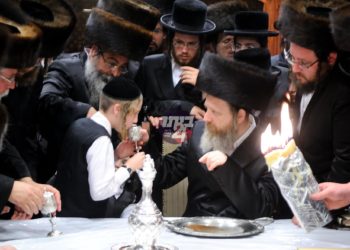 שבת מרוממת בצל האדמו”ר מדזיקוב שליט”א