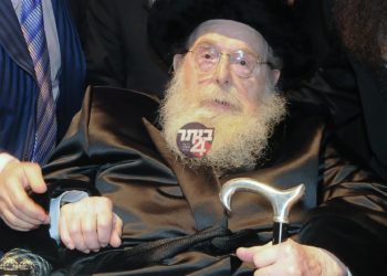 שריד לדור דעה- האדמור בעל עקבי אבירים מסדיגורה