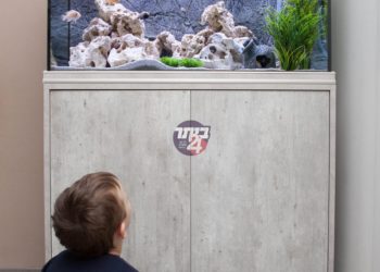 בערב החג: אקווריום נפל על ילד כבן 3 – מצבו טוב ב”ה