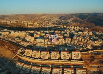 עשרות דיור חדשות בעיר נמכרו בחודש האחרון