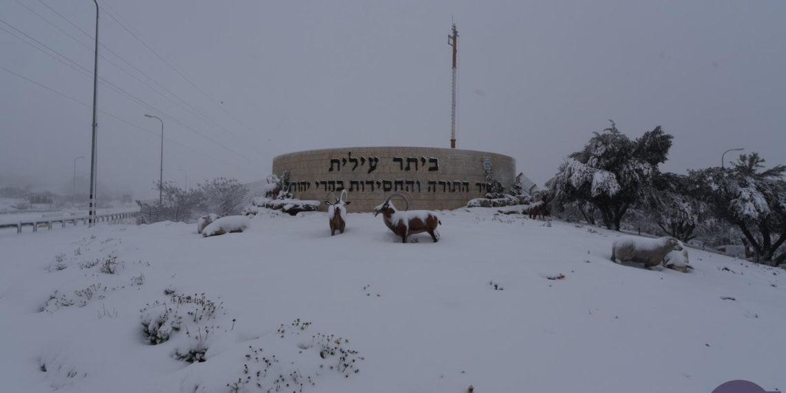 חג השלג הגיע