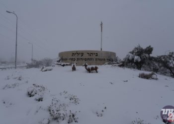 חג השלג הגיע