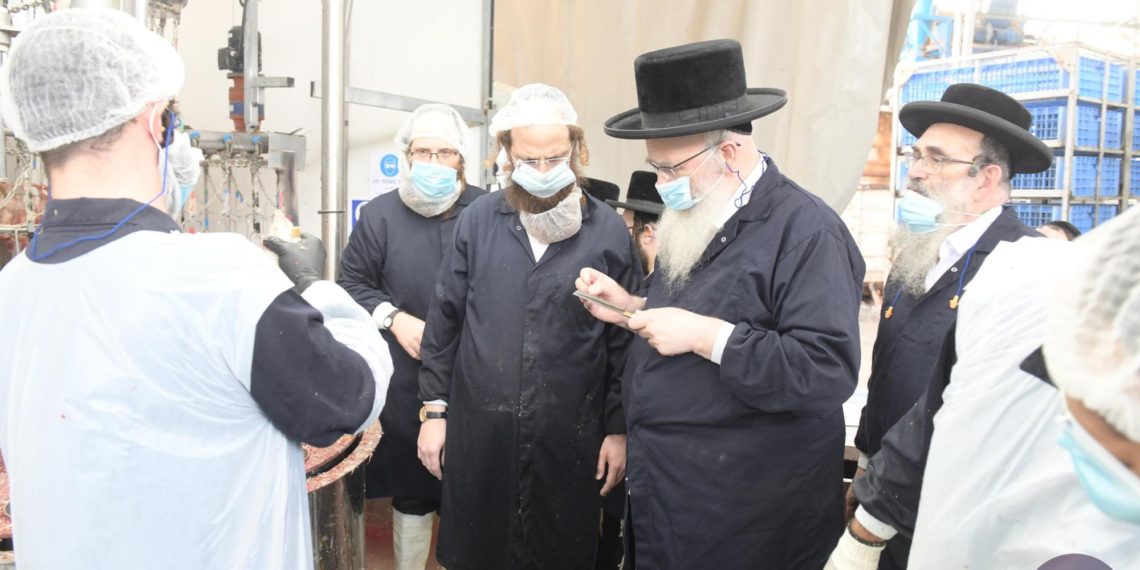 “תכלית השלימות: הגאון הגדול רבי שמואל אליעזר שטרן שליט”א גאב”ד מערב בני ברק ובד”צ ‘שערי הוראה’ בביקור רב-התפעלות במשחטה החדשה של ‘אגודים למהדרין'”