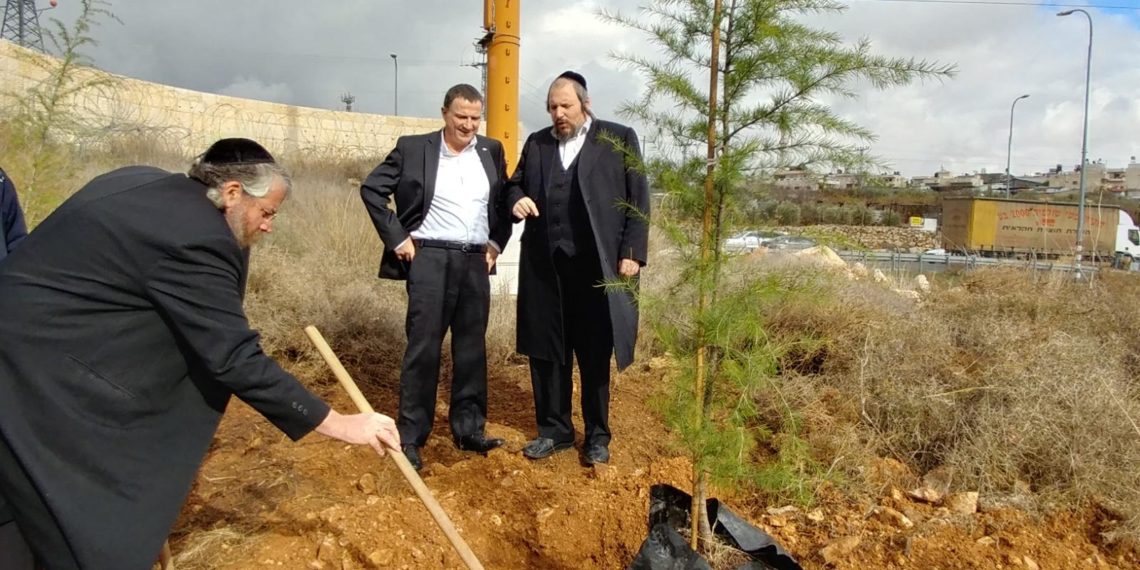 נטיעה של שמחה | הסיפור הקסום מאחורי מבצע החידוש הירקרק של הכניסה לבית עילית והקשר לשנת השמיטה המתקרבת