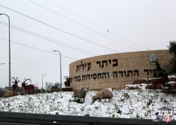 כוננות שלג #ילדי ביתר מחכים לשלג:# מה הסיכוי שהמרבד הלבן והקסום ייערם בעיר? #תלוי על איזה מודל מסתכלים#