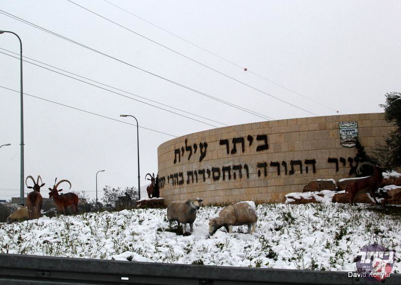 כוננות שלג #ילדי ביתר מחכים לשלג:# מה הסיכוי שהמרבד הלבן והקסום ייערם בעיר? #תלוי על איזה מודל מסתכלים#