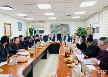 אוטמים אוזניים משמוע