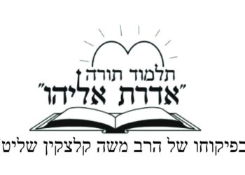 באמצע השיעור המוקלט מהמלונית הבחין ה’מלמד’ בעשרות ילדים שמתקבצים סביבו. סיפור מרגש