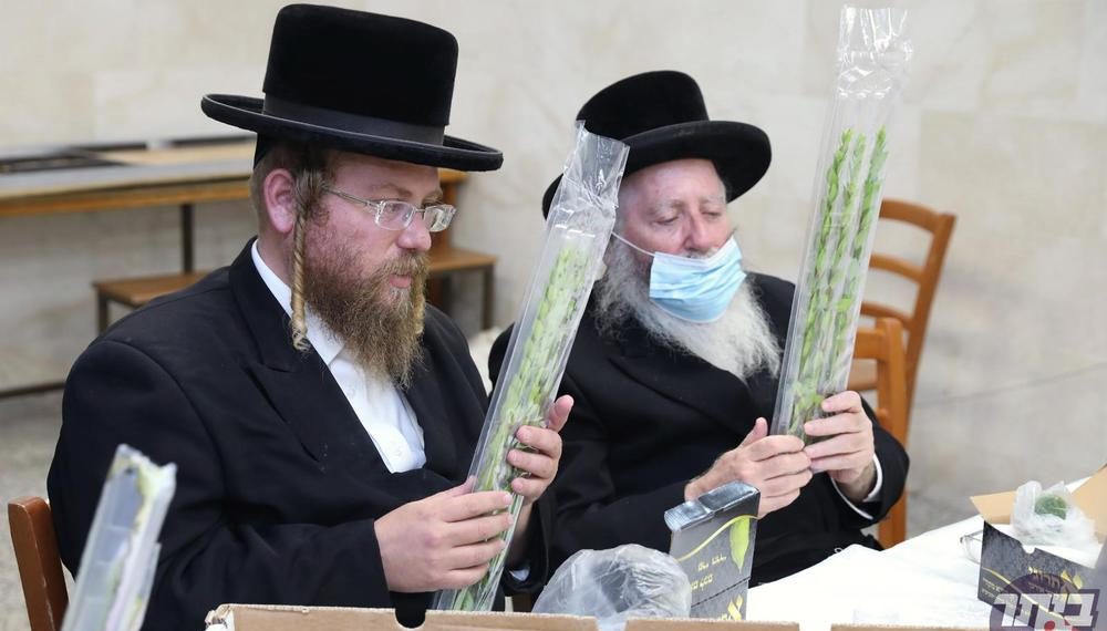 בהתאם לאתגרי הקורונה: המיזם של ‘קופת ביתר’ לסבסוד ארבעת המינים לתושבי העיר