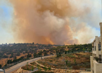 הרים תחת אש: במשך שלושה ימים השתוללה לסירוגין האש על ההרים בין צור הדסה לביתר, ותושבי העיר נאלצו לנשום ריח שריפה חריף