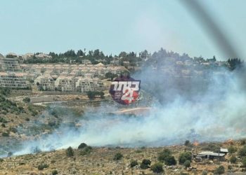 עקב עומס החום: דליקת ענק בשדות מסביב לביתר