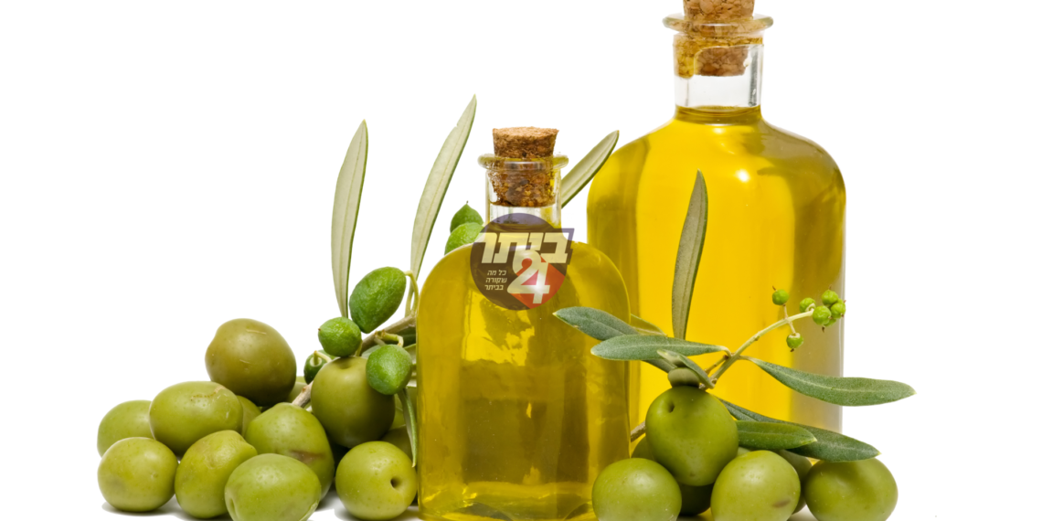 ארץ זית שמן