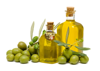 ארץ זית שמן