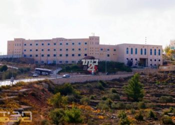 במוסדות לציון ברינה בבוקר ברית בערב חתונה
