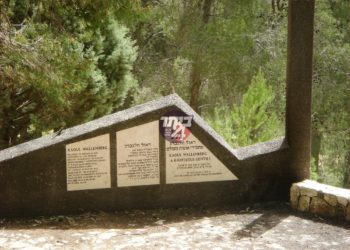 הדיפלומט המופלא