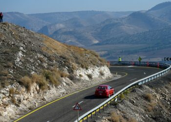 פראות בכביש