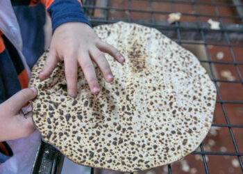 נזכה לעשותו