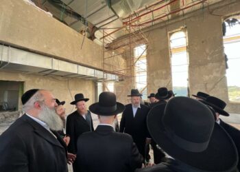 כוח התורה עולה