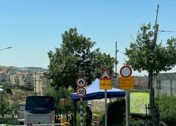 תמרור ושמו שבת