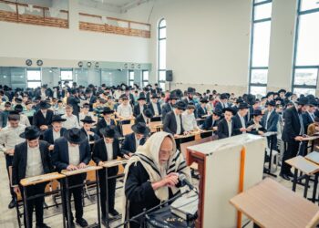 בזכות הבל פיהם 