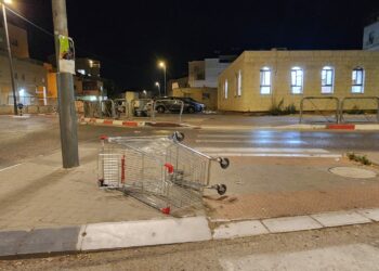 שומרים על ביתר נקייה