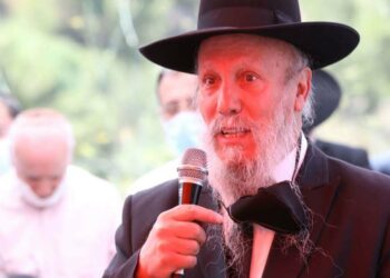 מגזע אראלים