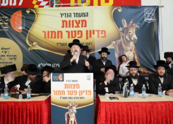 חמוֹר של מצווה