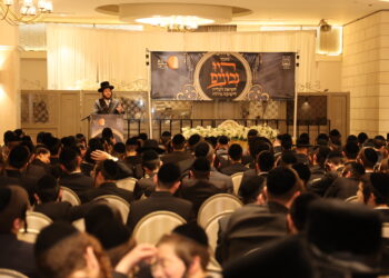 ראיתי בני עלייה