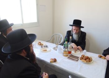 ה’מחול’ של הרבי מאמריקה