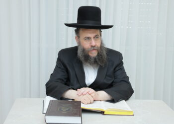 מְנַחֵם מֵשִׁיב נַפְשִׁי