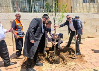 מהפכת ההצללה העירונית