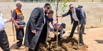 מהפכת ההצללה העירונית